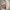 IMG 7 C0 C96722 E08 3