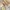 IMG B44 DE6 C479 D7 1